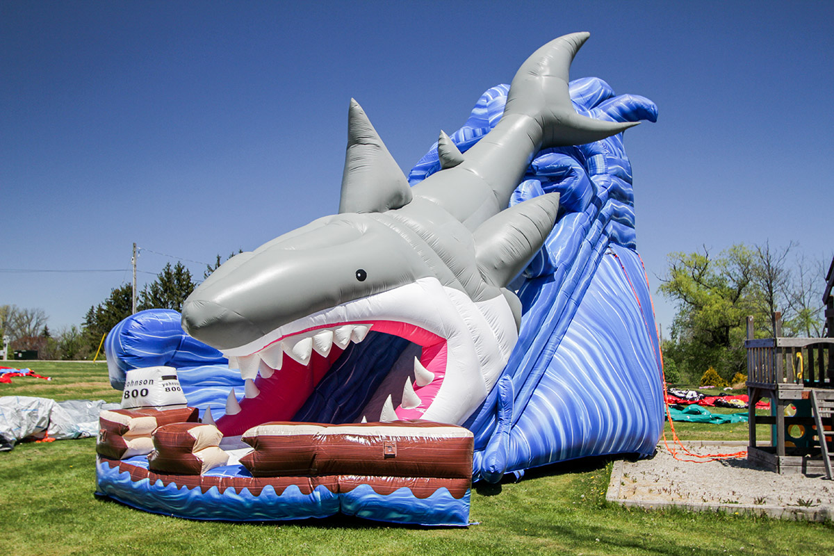 shark waterslide